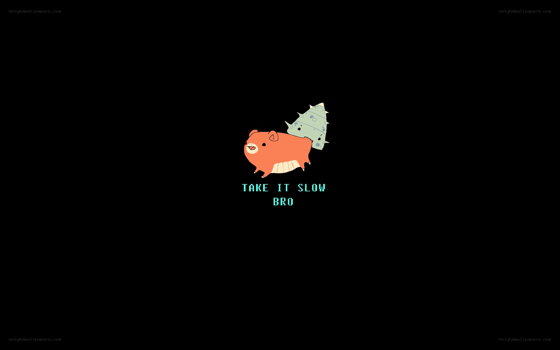 Take It Slow Bro