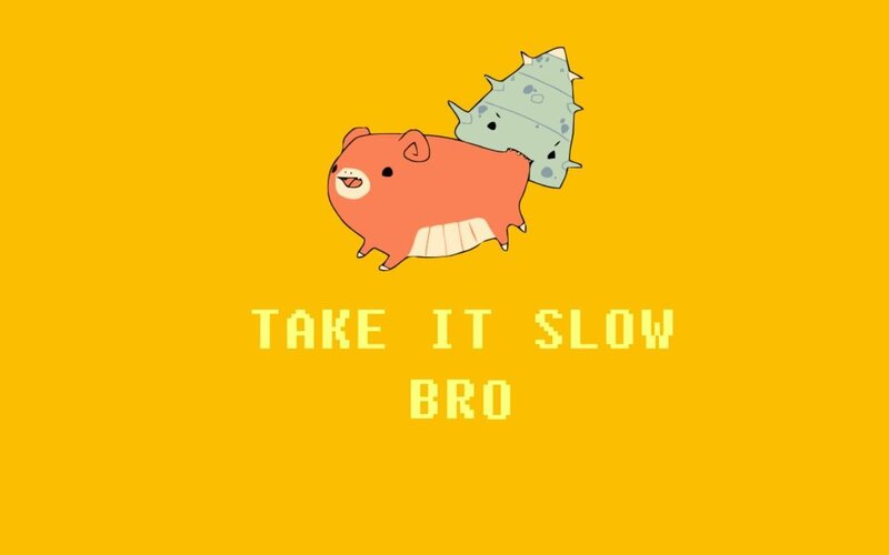 Take It Slow Bro