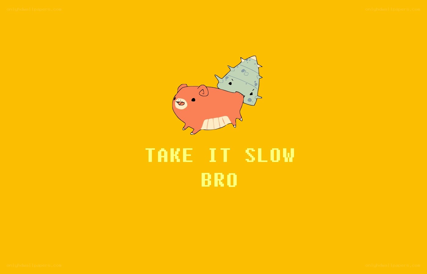 Take It Slow Bro