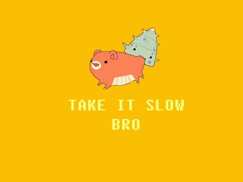 Take It Slow Bro