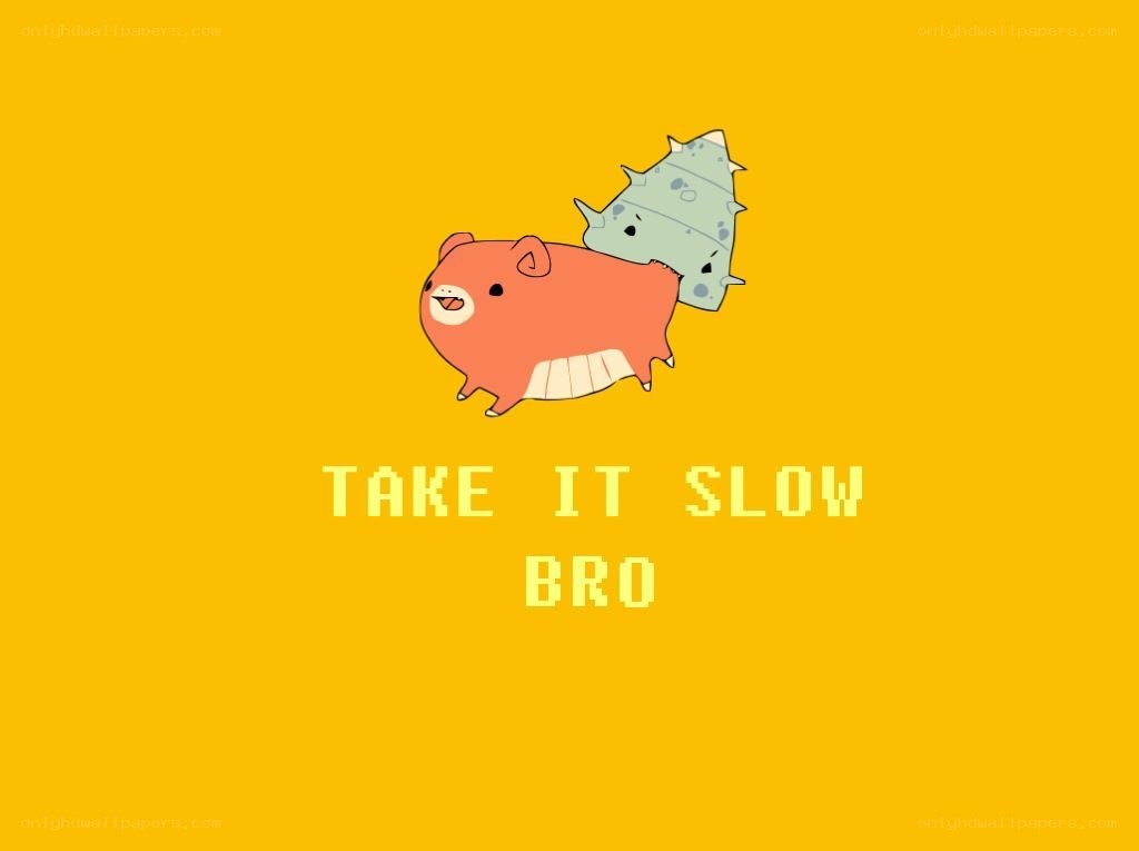 Take It Slow Bro