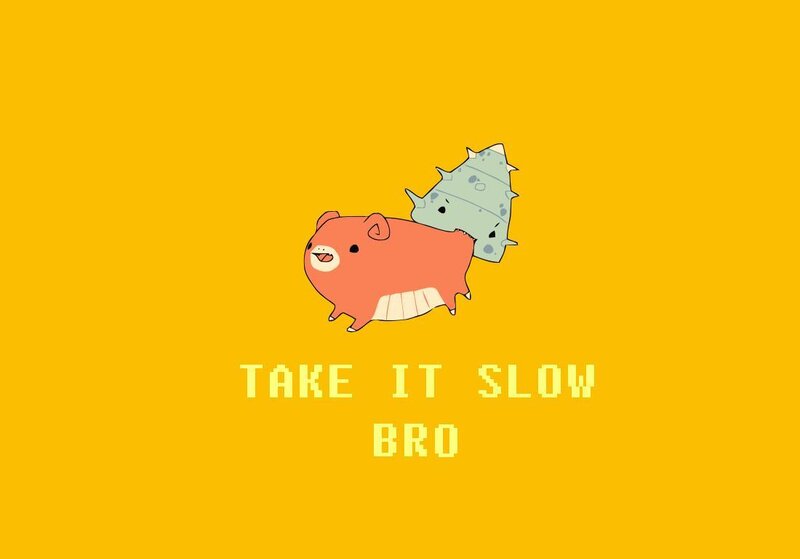 Take It Slow Bro