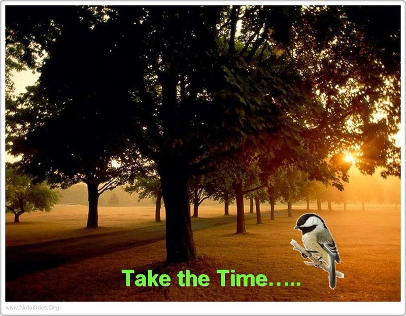 Take the Time