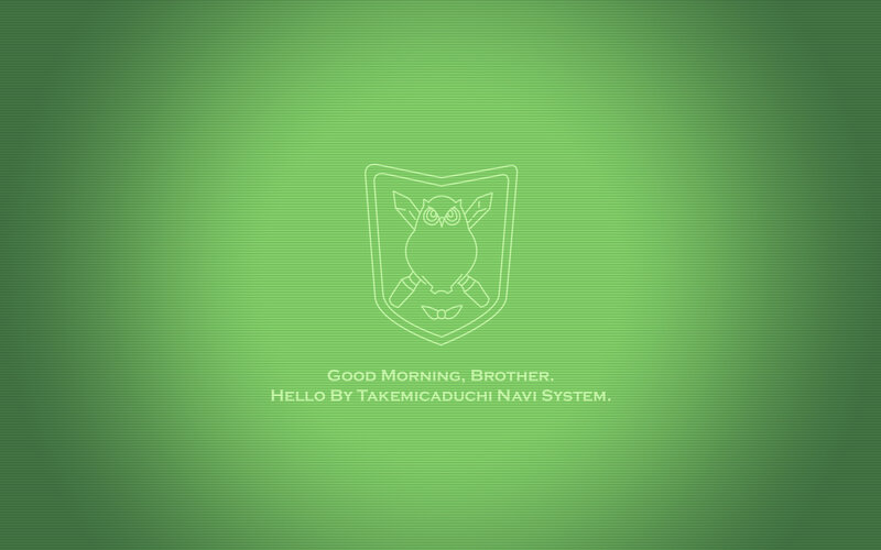Takemicaduchi Navi System