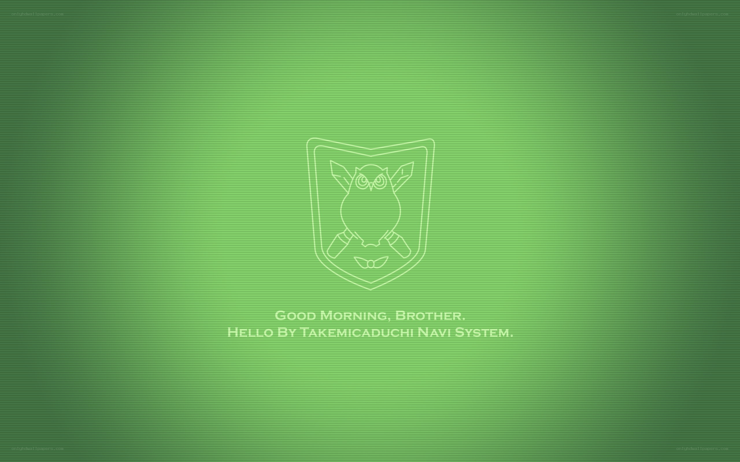 Takemicaduchi Navi System