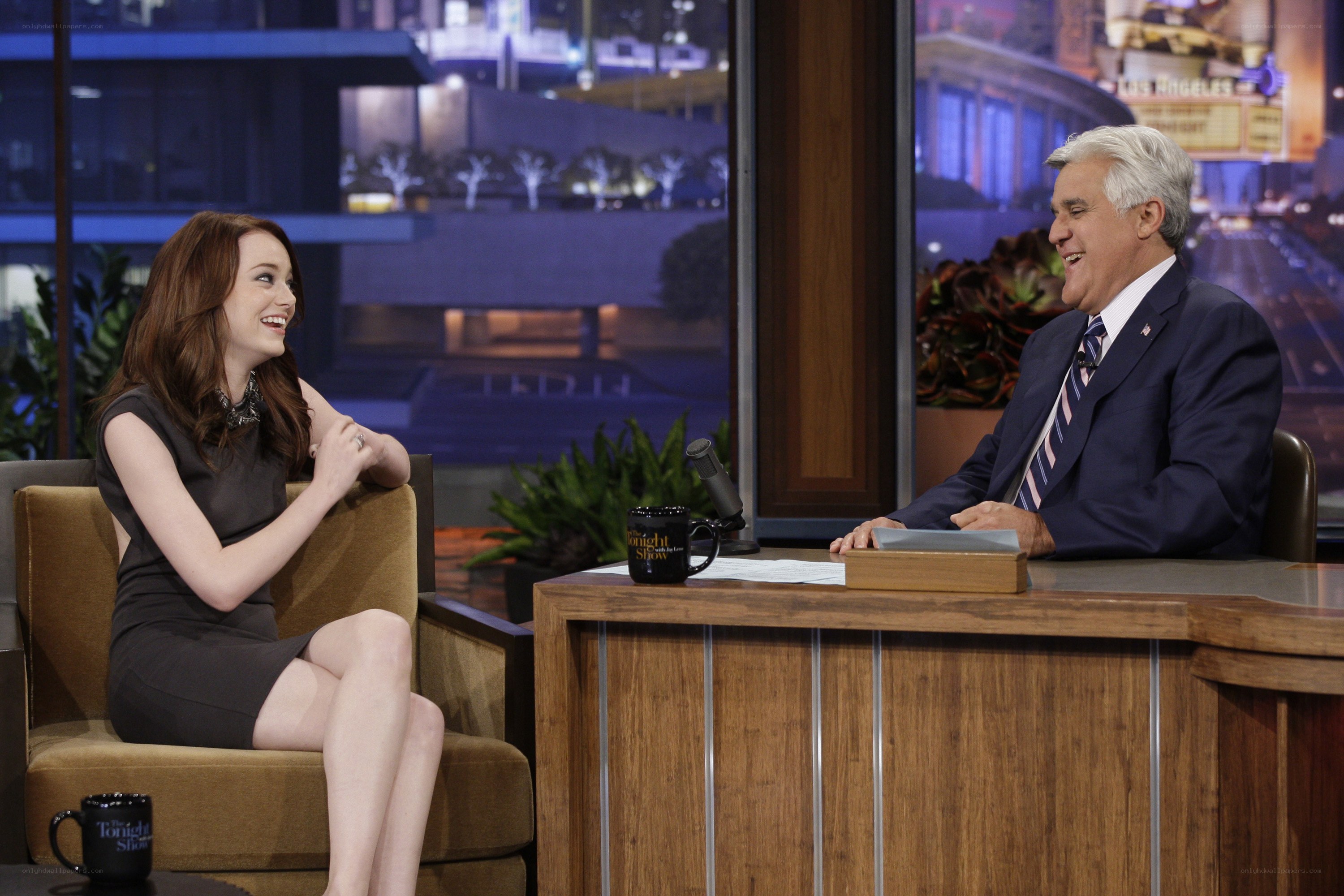Talk show interview with guest