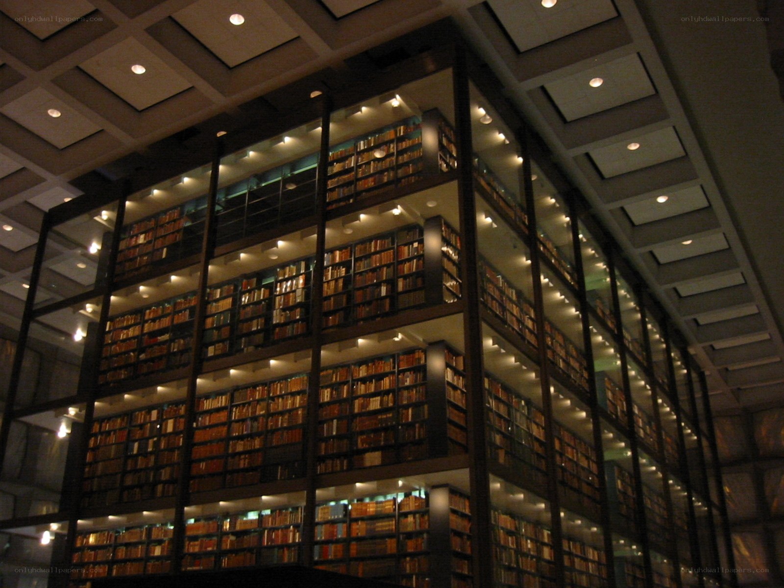 tall bookshelf in library