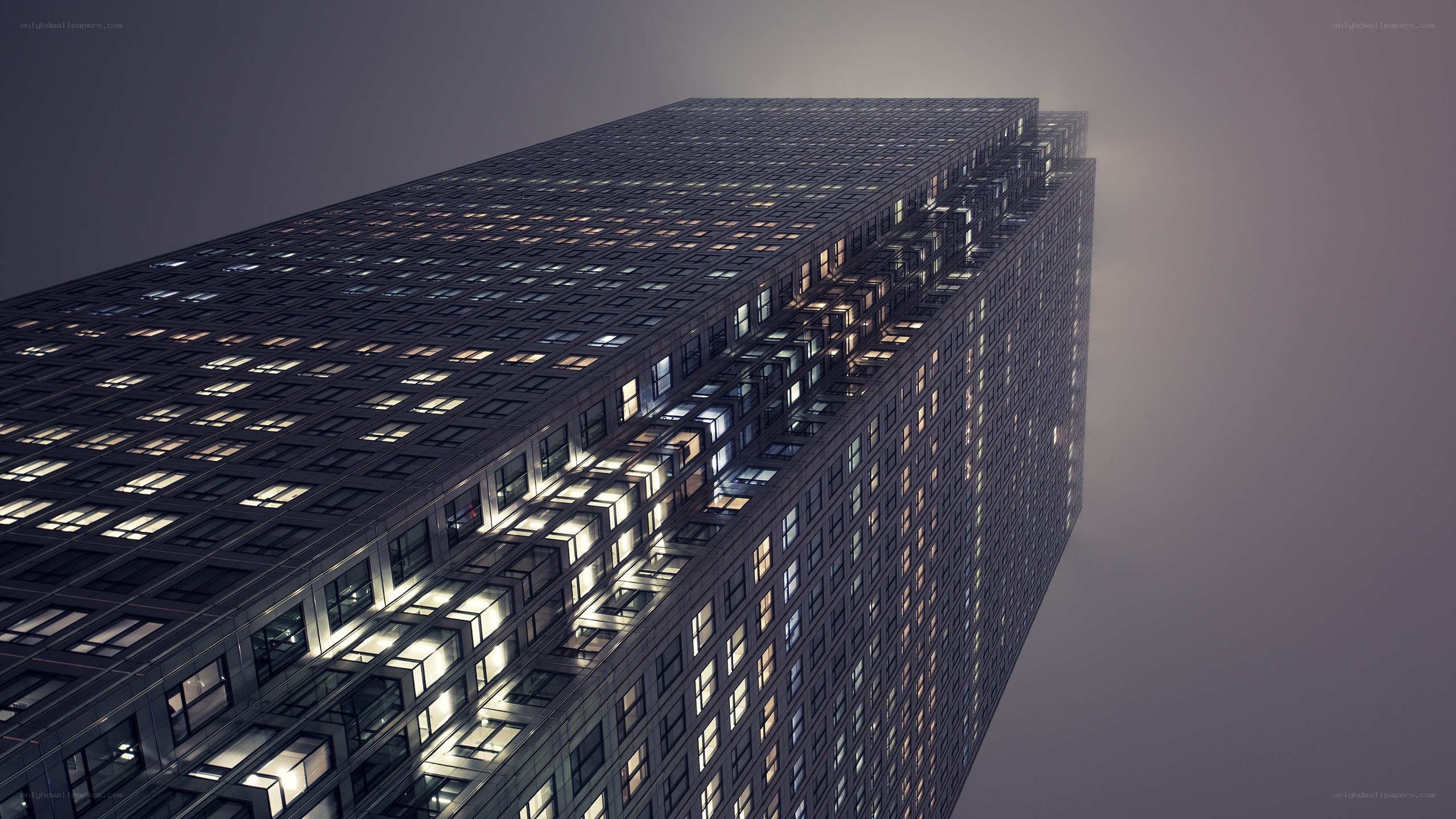 tall building at night