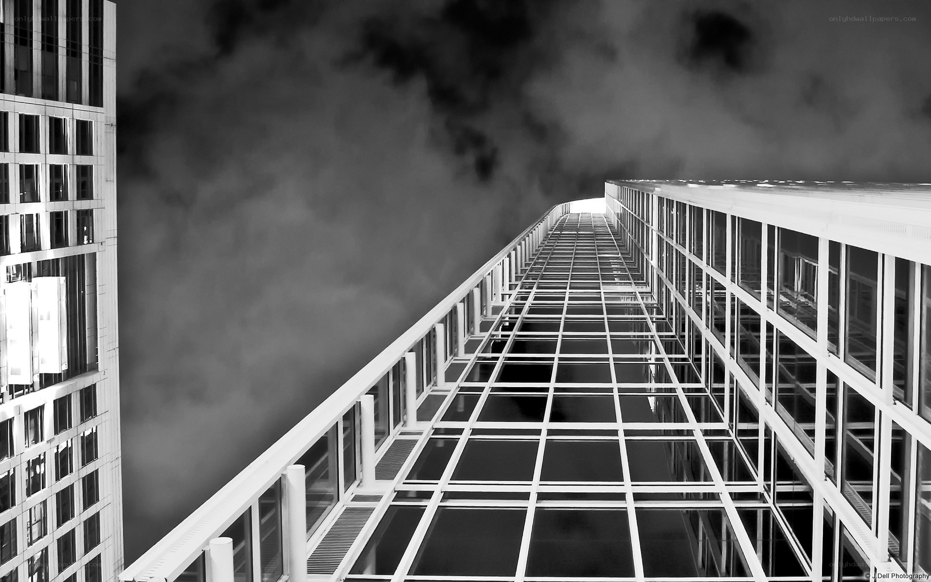 tall building at night
