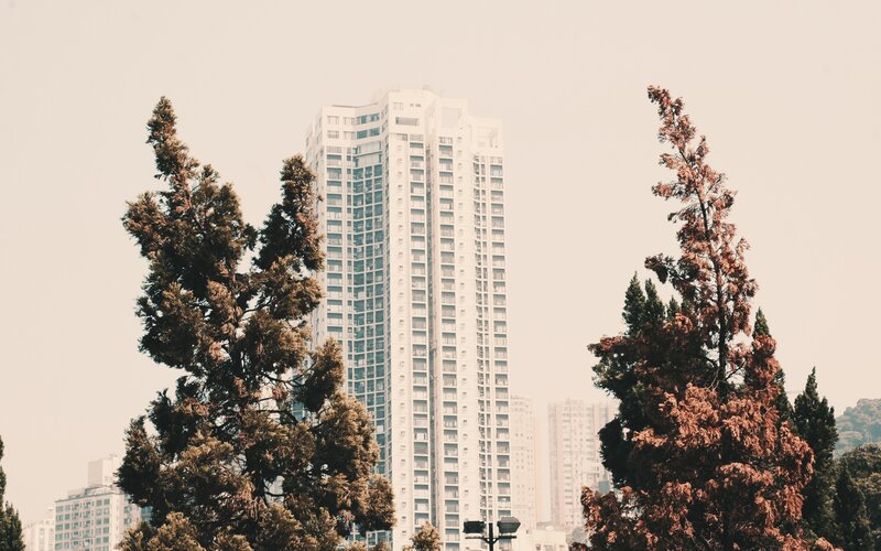 tall building behind trees