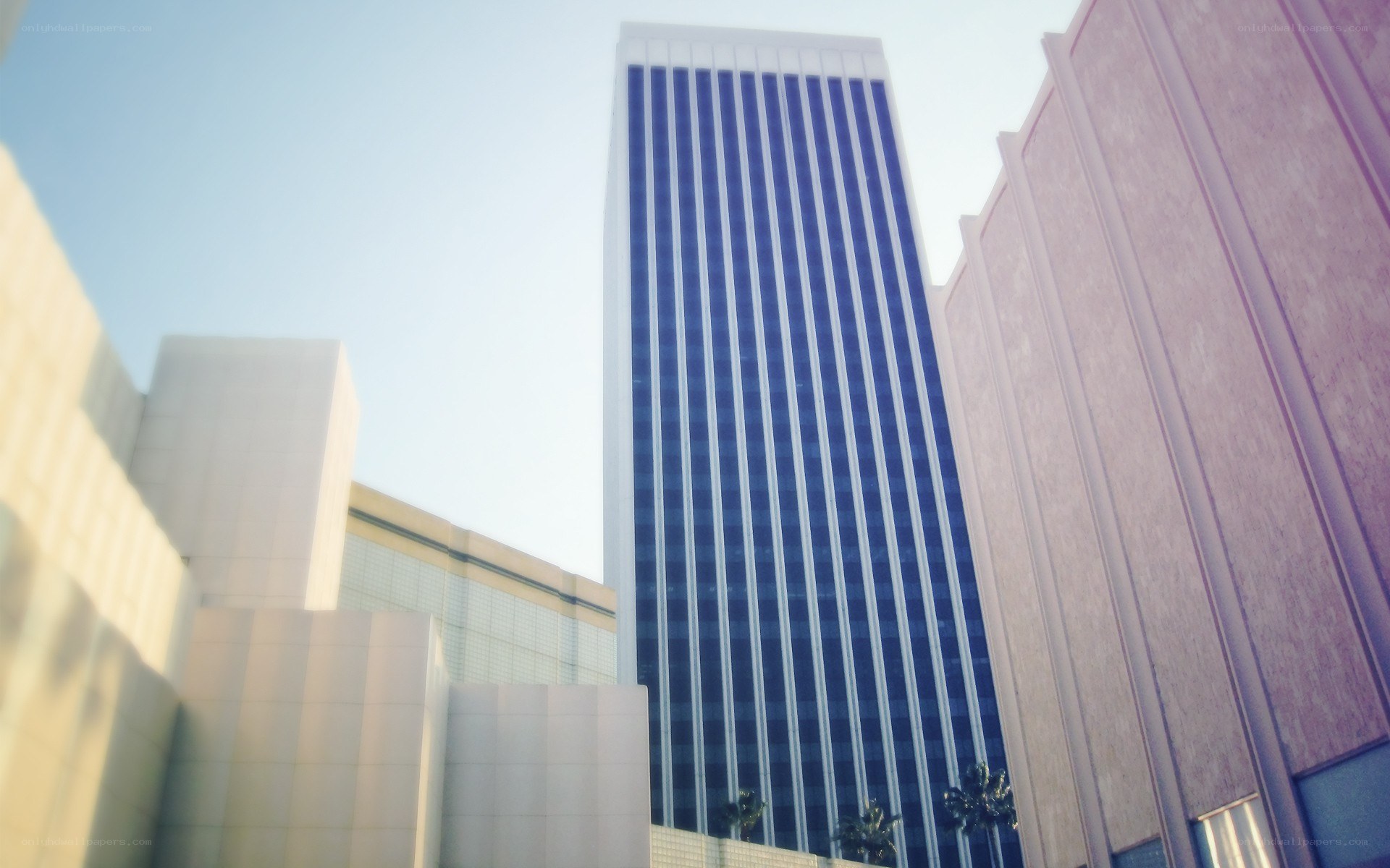 tall building in city