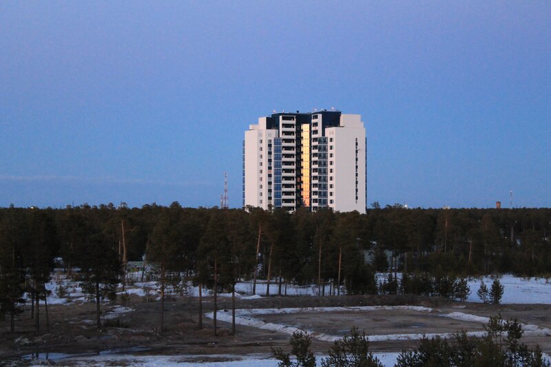 tall building in forest at dusk