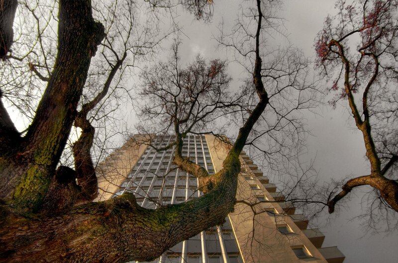 Tall building viewed through bare trees
