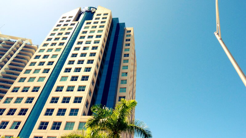 Tall Building with Palm Tree