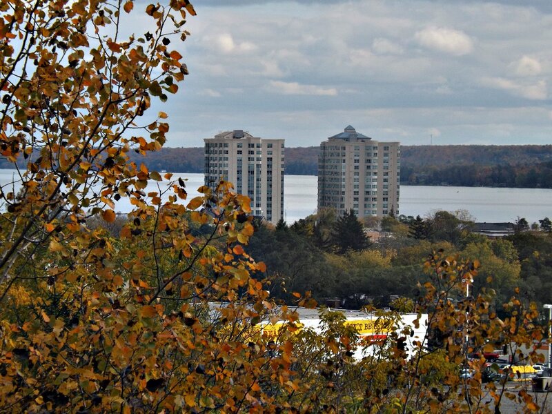 Tall Buildings by Lake