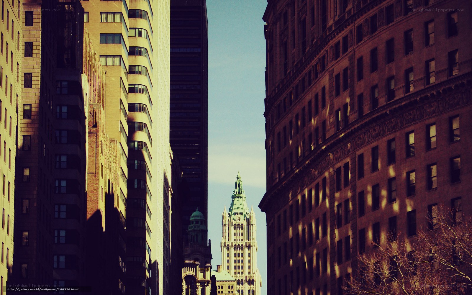 tall buildings in a city