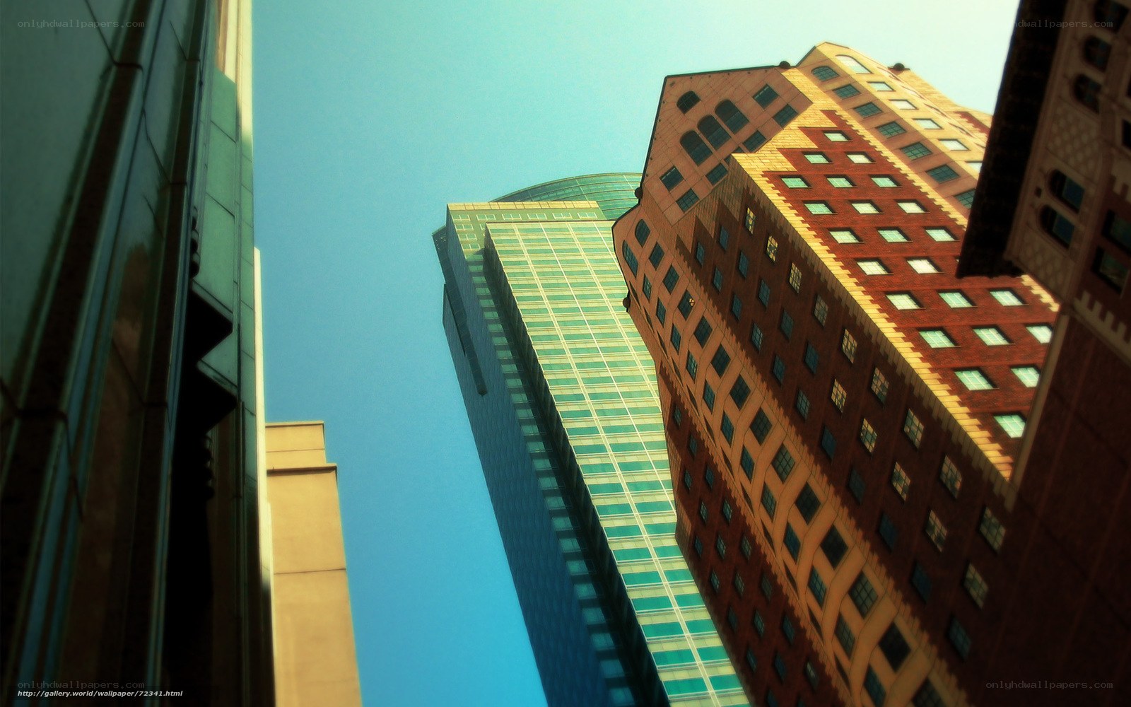 tall buildings in city