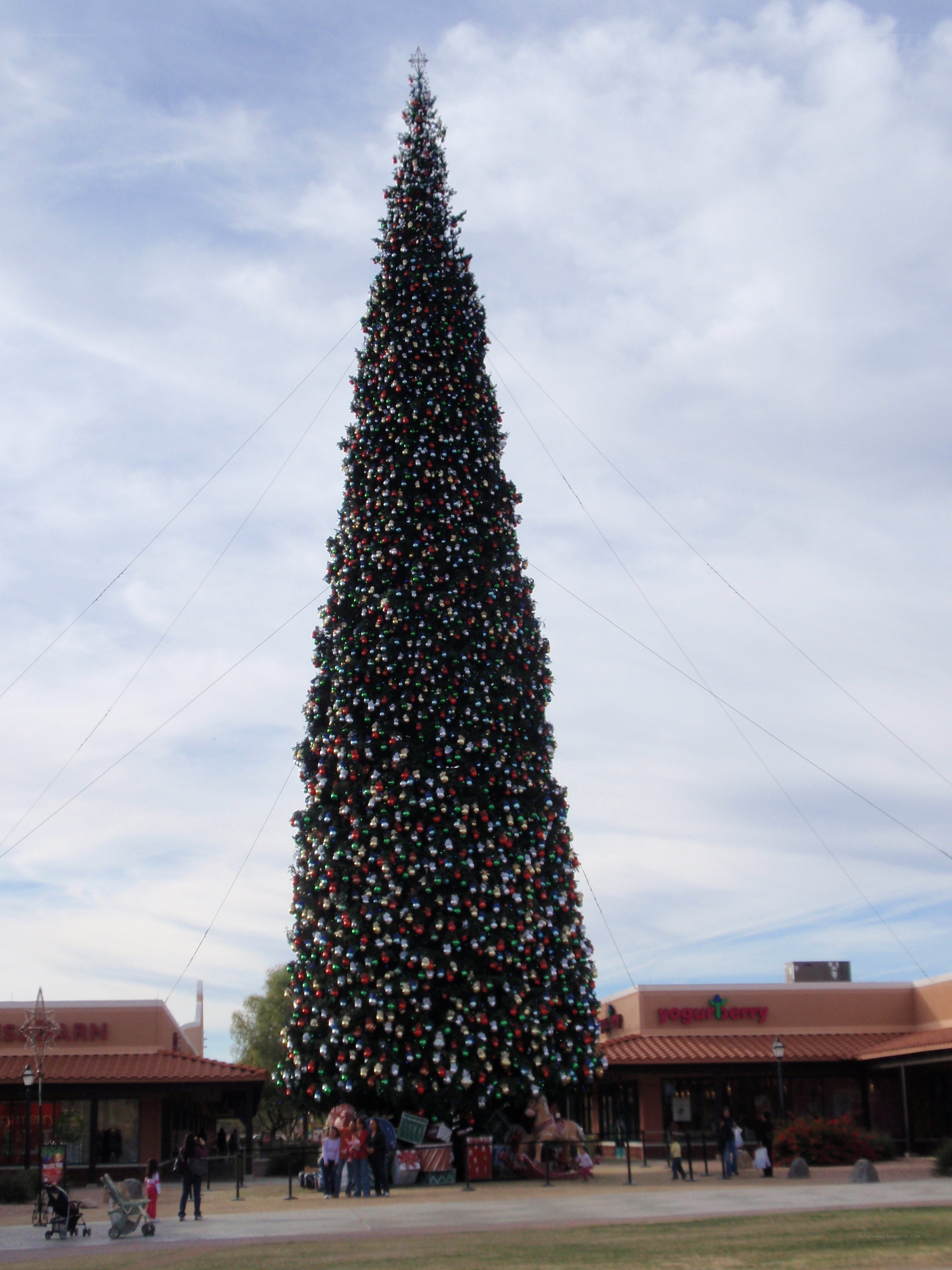 Tall decorated Christmas tree