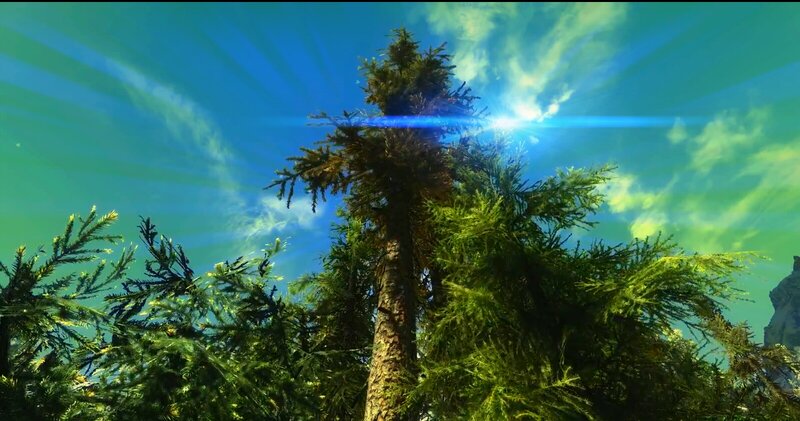 Tall Evergreen Trees — Blue, Dramatic