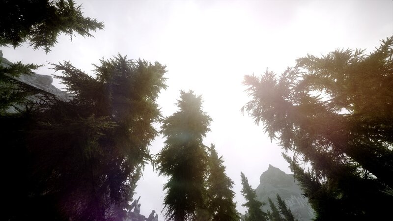 Tall Evergreen Trees — Green, Serene, 3d Render