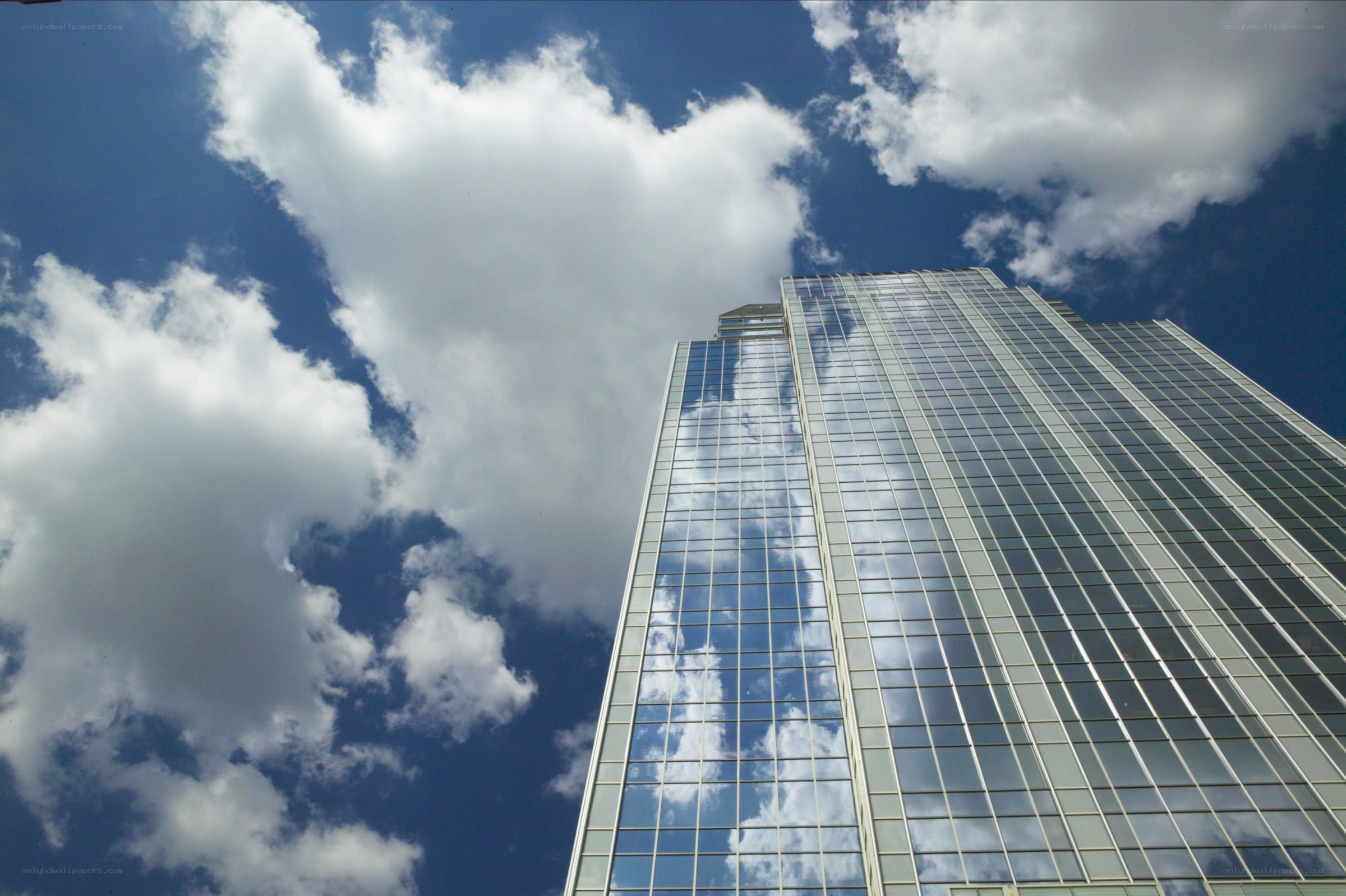 tall glass building under cloudy sky