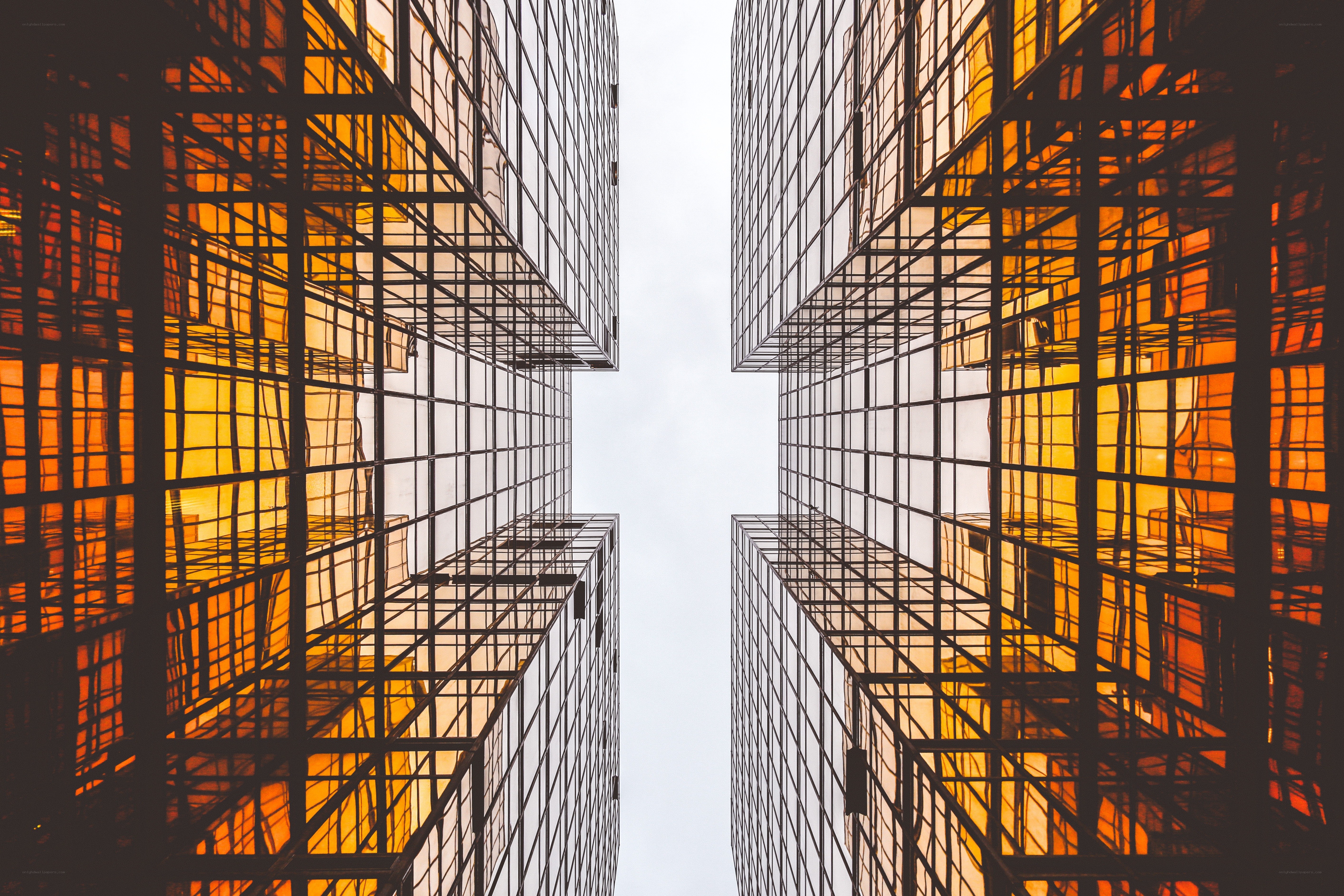 tall glass buildings