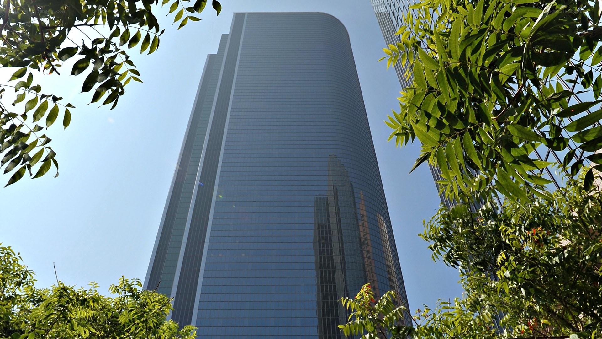 tall glass skyscraper with trees