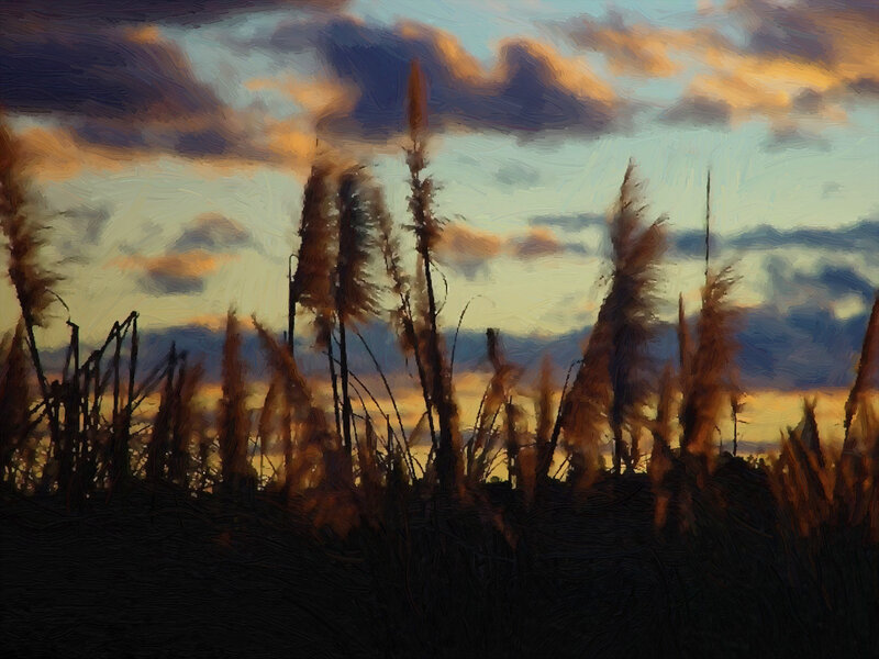 Tall Grass at Sunset — Orange, Dramatic, Painting