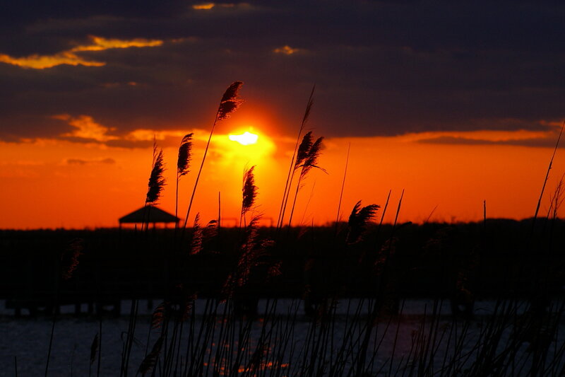 Tall Grass at Sunset — Orange, Dramatic, Photograph, Sun, Sky, Water