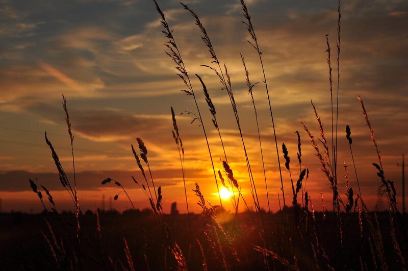 Tall Grass at Sunset — Orange, Serene, Photograph, Sun, Sky, Clouds