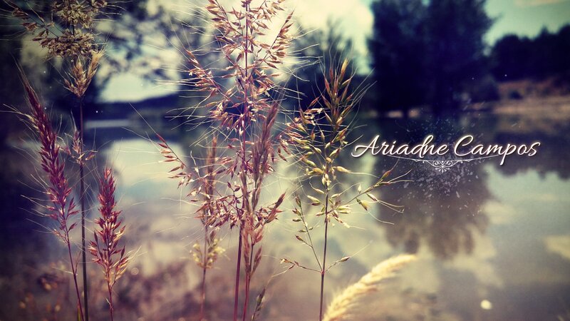 Tall Grass by Water — Brown, Serene