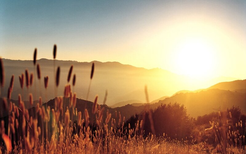 Tall Grass in Field — Gold, Serene, Sunset, Photograph, Mountains, Sun, Sky