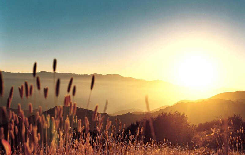 Tall Grass in Field — Yellow, Serene, Sunset, Photograph, Mountains, Sun, Sky, Blue