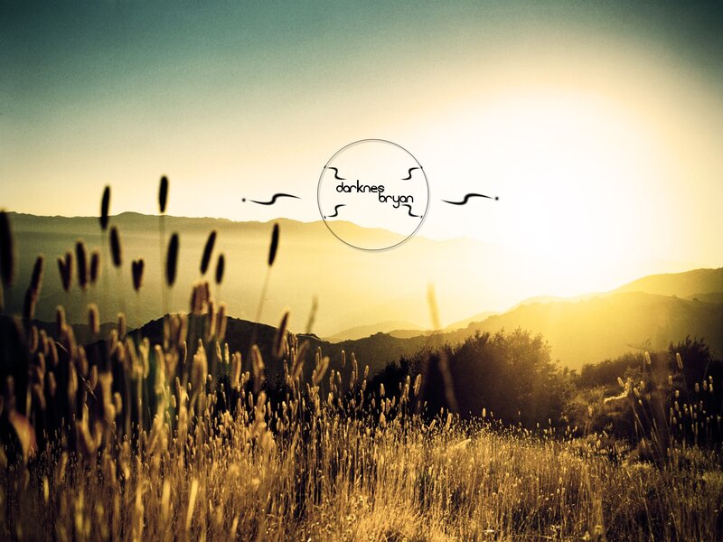 Tall Grass in Field — Yellow, Serene, Sunset, Photograph, Mountains, Sun, Sky