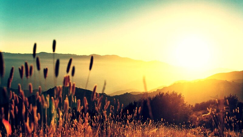 Tall Grass in Field — Yellow, Serene, Sunset, Photograph, Mountains, Sun