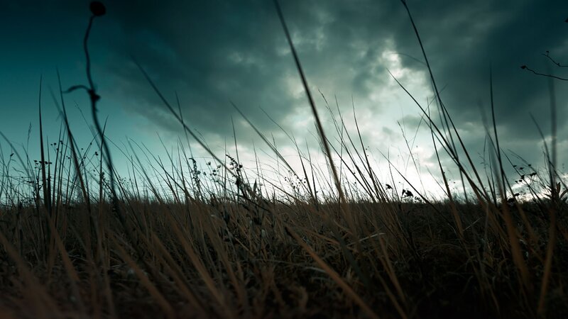 Tall Grass under Stormy Sky