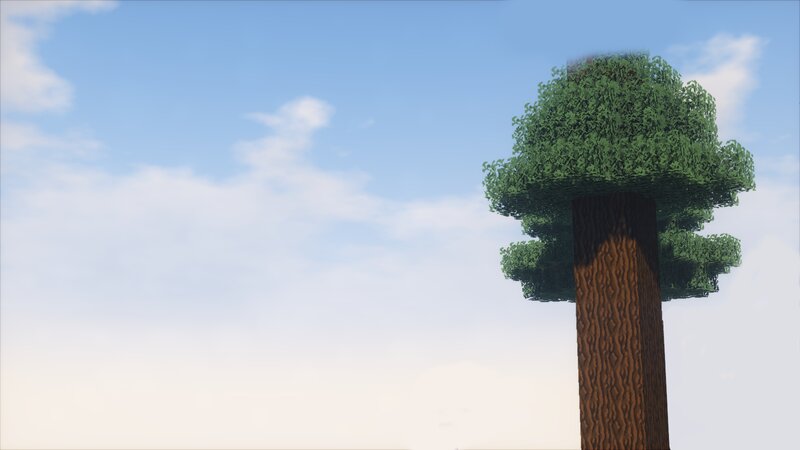 Tall Tree in Sky
