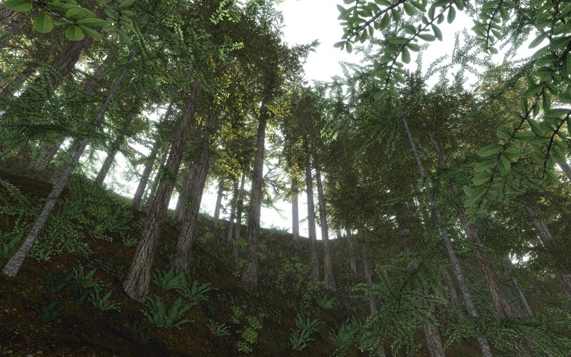 Tall Trees in Forest — Green, Serene, Morning, 3d Render, Foliage