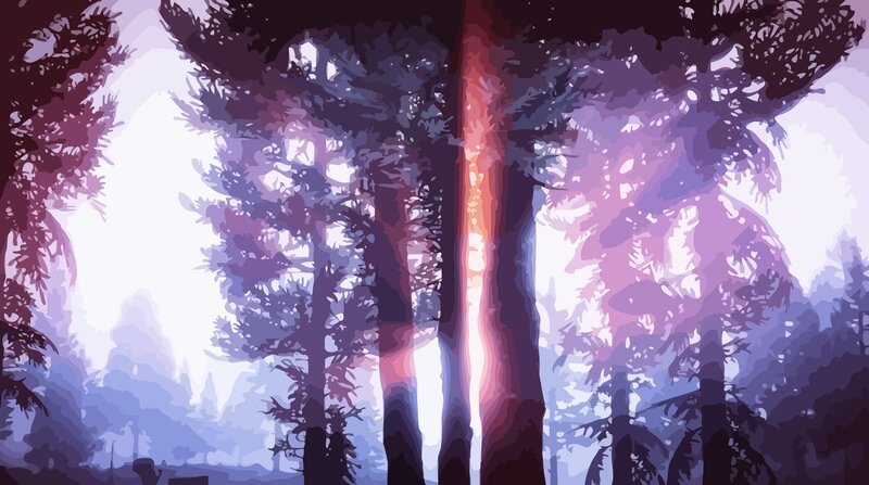 Tall Trees in Forest — Purple, Serene