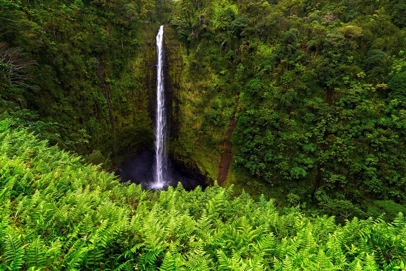 Tall Waterfall in Forest — Green, Serene, Photograph, Cliff