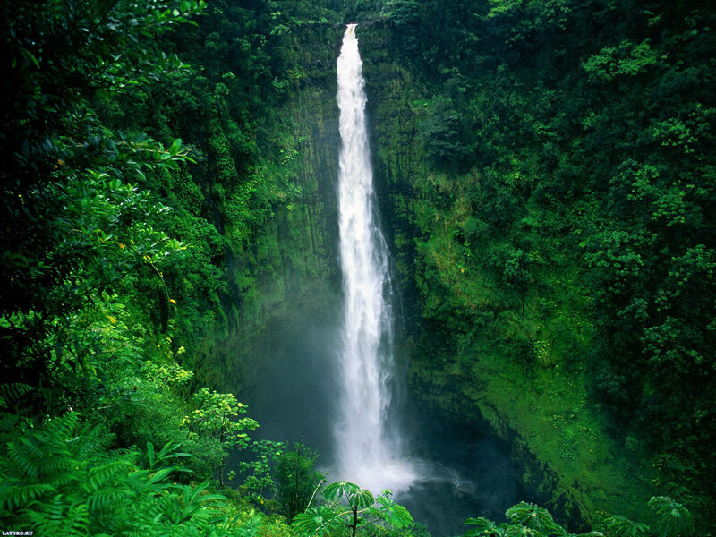Tall Waterfall in Jungle — Green