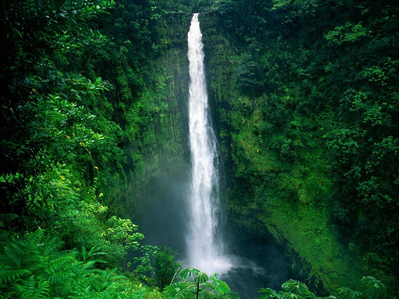 Tall Waterfall in Jungle