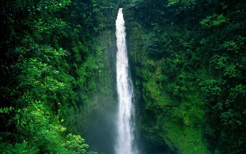 tall waterfall in lush forest