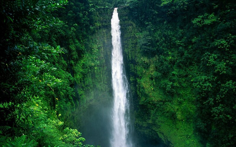 tall waterfall in lush forest