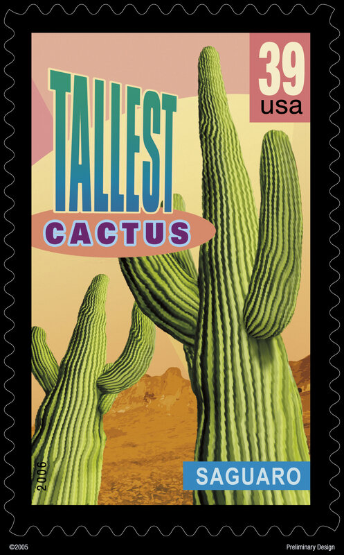 Tallest Cactus Stamp