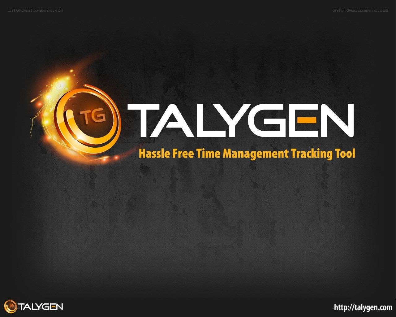 Talygen time tracking tool