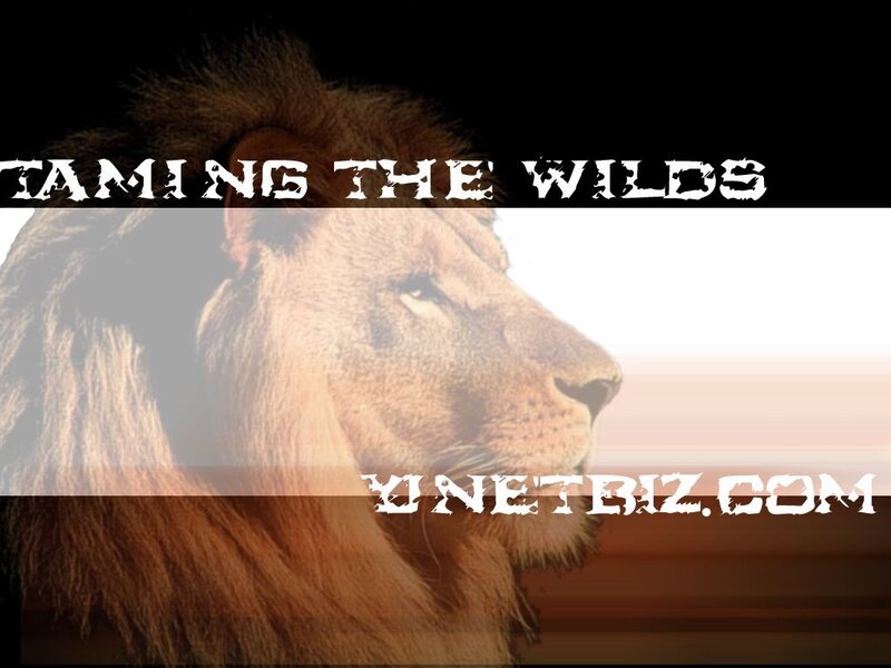 Taming the Wilds