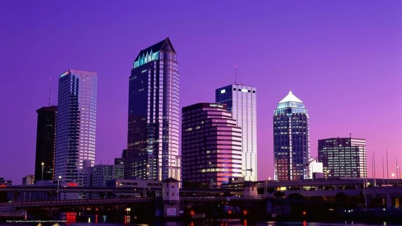 Tampa skyline at dusk