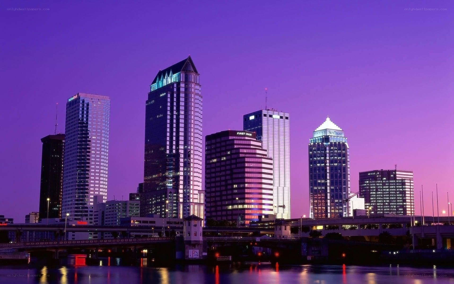 Tampa skyline at dusk