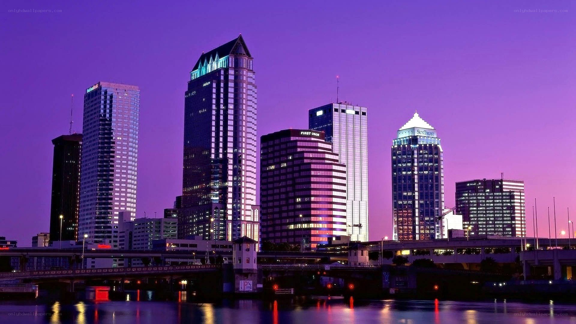Tampa skyline at dusk